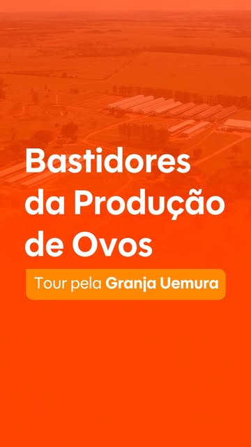 Publicação sobre os bastidores da Granja Uemura