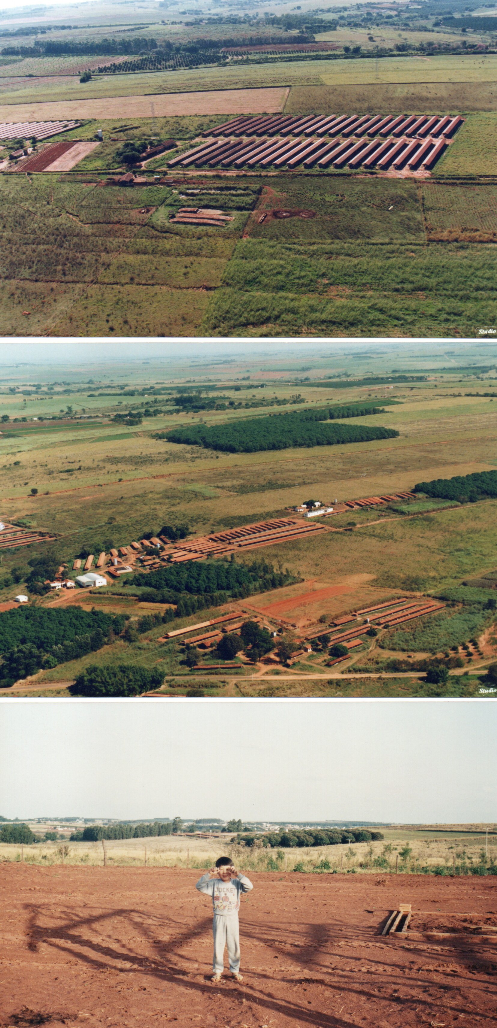 Registro aéreo antigo das instalações e áreas verdes da granja