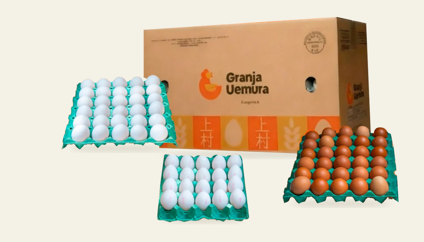 Composição com a caixa original e bandejas de ovos brancos e vermelhos de 30, além de uma bandeja branca de 20 ovos